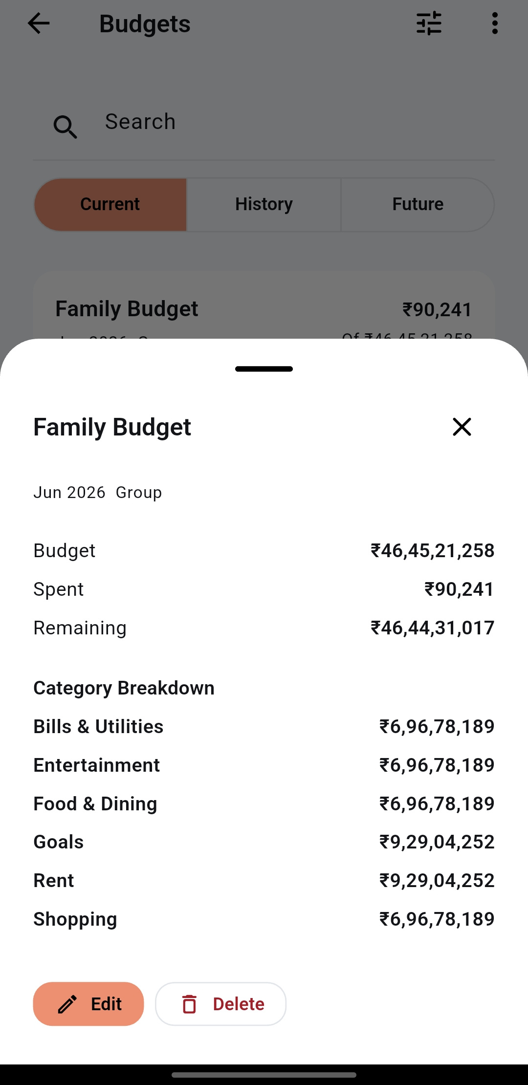 SilkWallet Family Budget